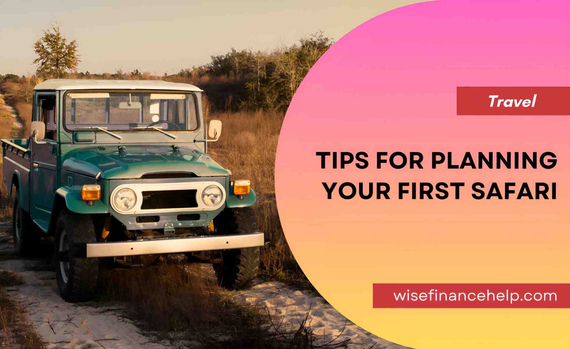 Tips for Planning Your First Safari